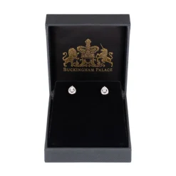 Silver Teardrop Earrings